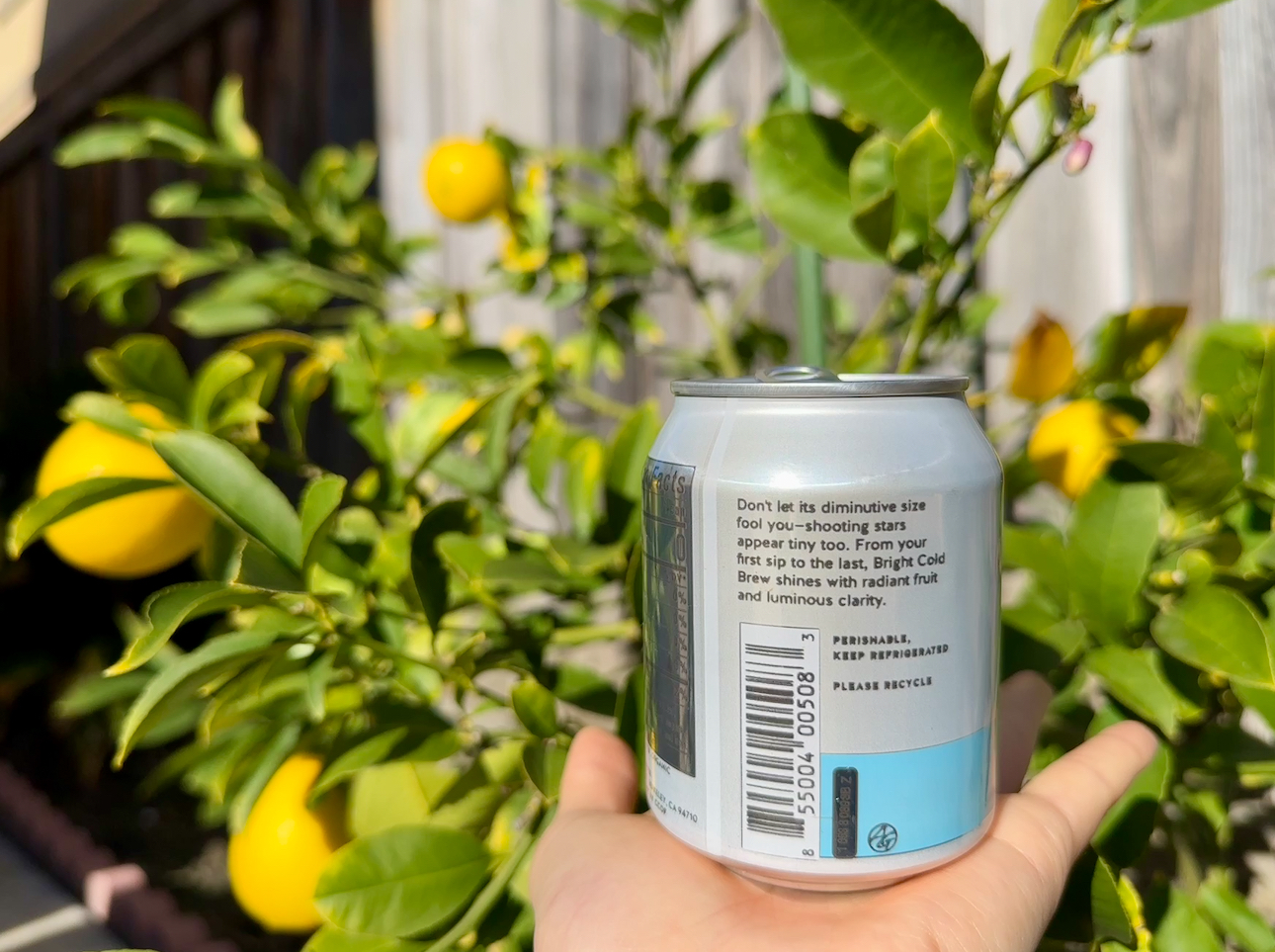 We hold the future of defi in the palm of our hands. Don’t let its diminutive size fool you — shooting stars appear tiny too. From your first trade to the last, defi shines with radiant fruit and luminous clarity. PERISHABLE, KEEP DECENTRALIZED. Nutrition Facts: 0 calories. Source: Blue Bottle Coffee.